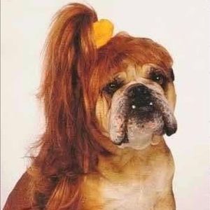 Meet your Posher, Jen